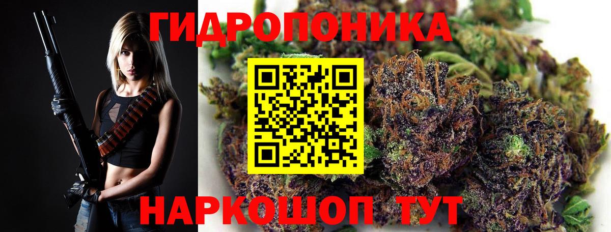 Каннабис гибрид Орёл